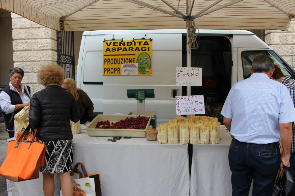 11222533_10206735822617455_4756703595512500483_n