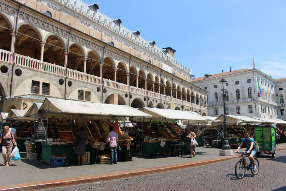 11401240_10206915884318885_2617349615461884198_n